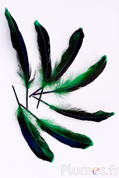Canard - 8-10 cm - vert